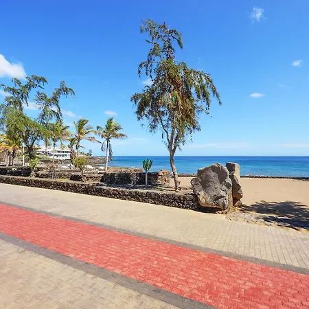 Lanzahost Tabaiba Blue