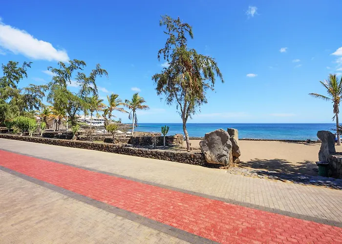 Lanzahost Tabaiba Blue